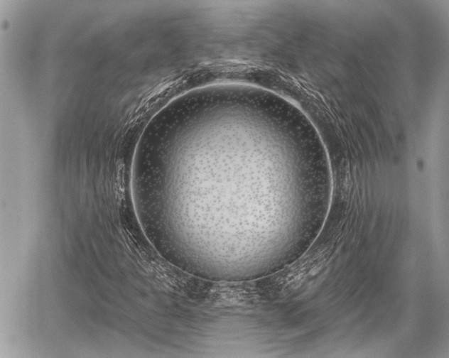 X0000059821301200510241345