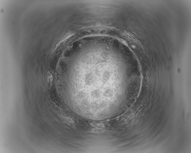 X0000059821302200510241345