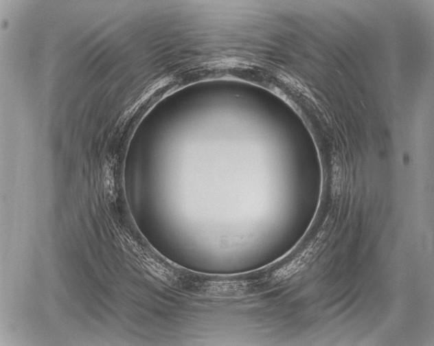 X0000059821305200510241345