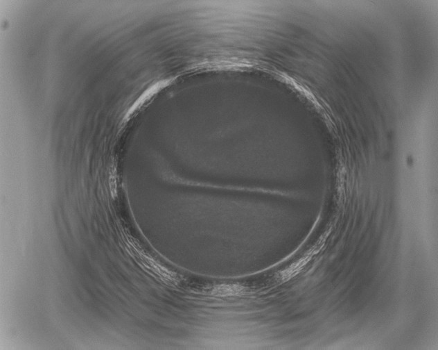 X0000059821306200510241345