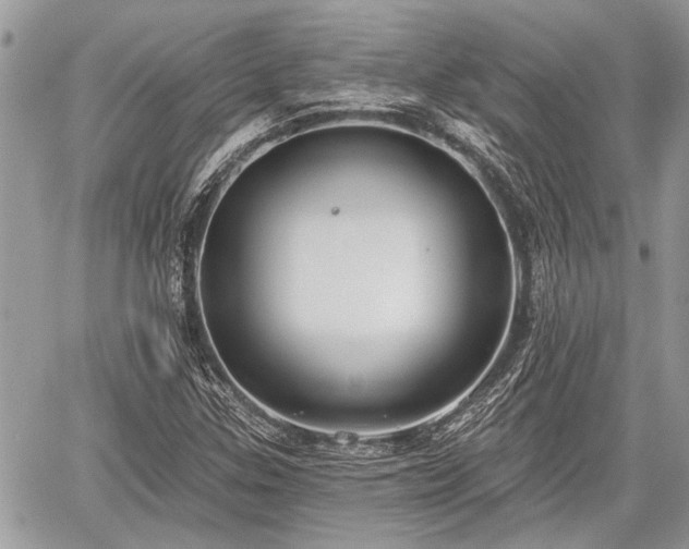 X0000059821307200510241345