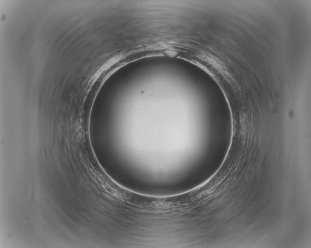 X0000059821308200510241345