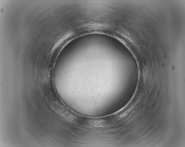 X0000059821309200510241345