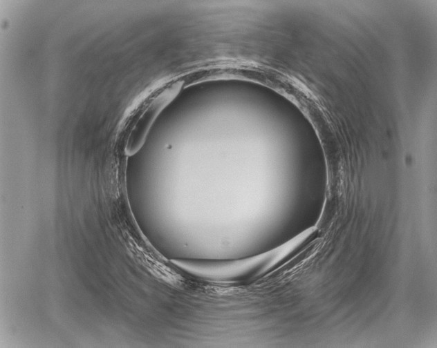 X0000059821310200510241345