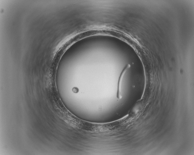 X0000059821311200510241345