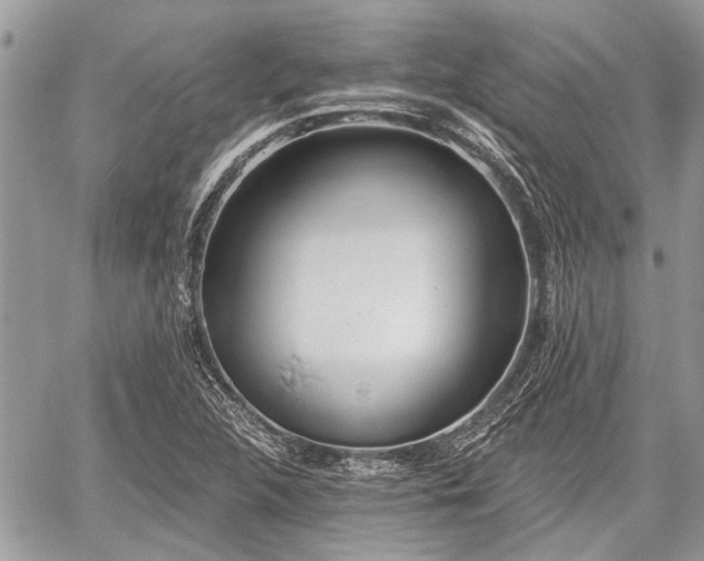 X0000059821312200510241345