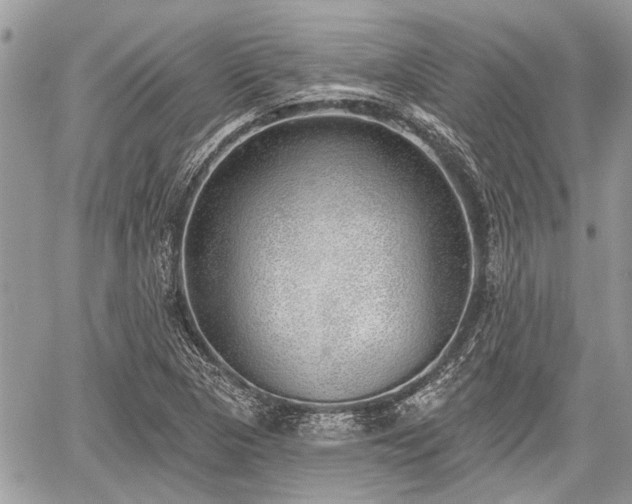 X0000059821313200510241345