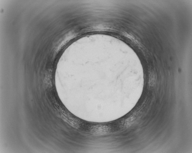 X0000059821314200510241345