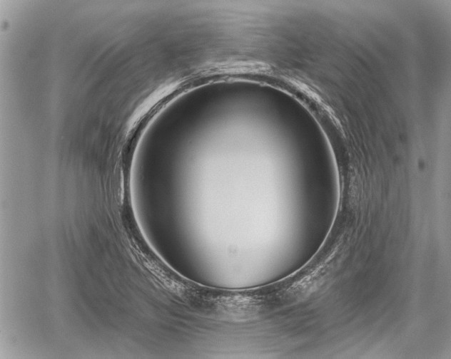 X0000059821317200510241345