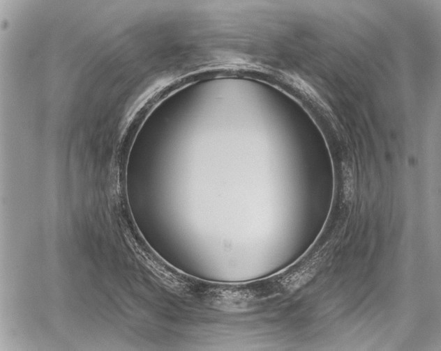 X0000059821318200510241345