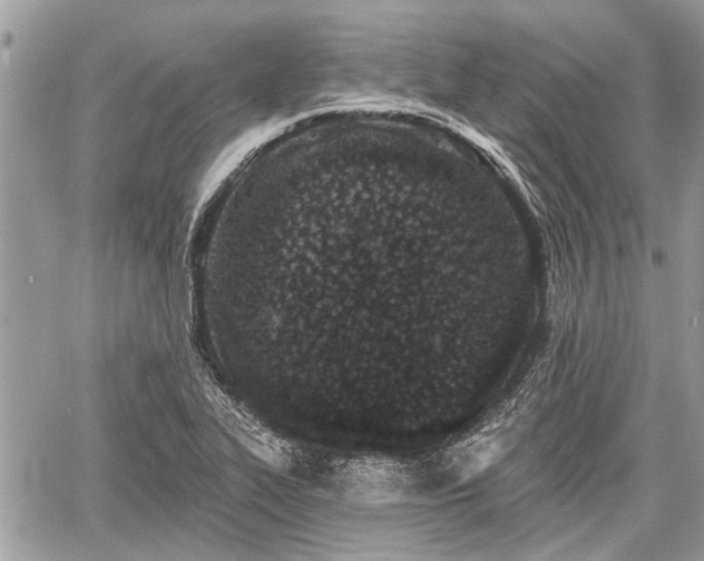 X0000059821319200510241345