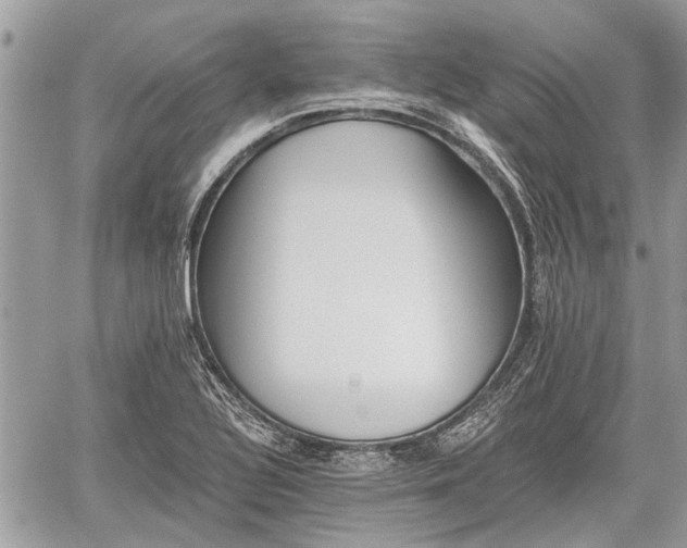 X0000059821320200510241346