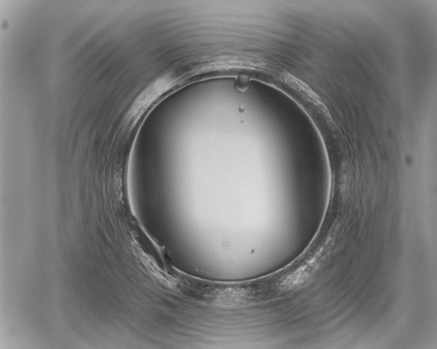 X0000059821321200510241346