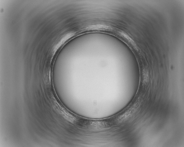 X0000059821322200510241346