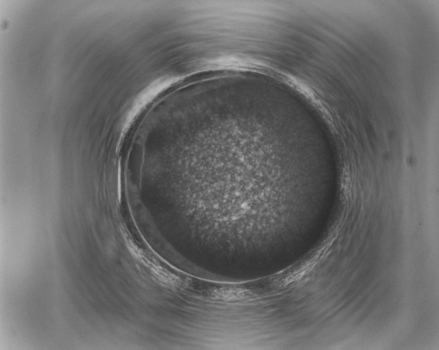 X0000059821323200510241346