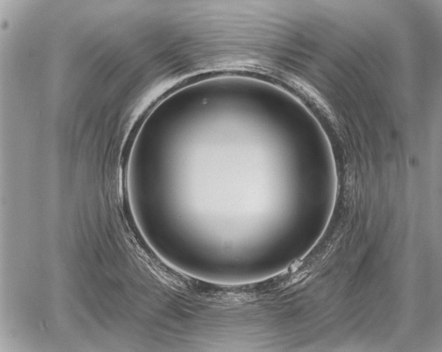 X0000059821324200510241346