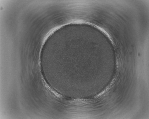 X0000059821327200510241346