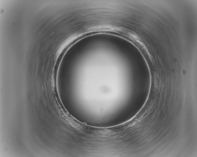 X0000059821328200510241346