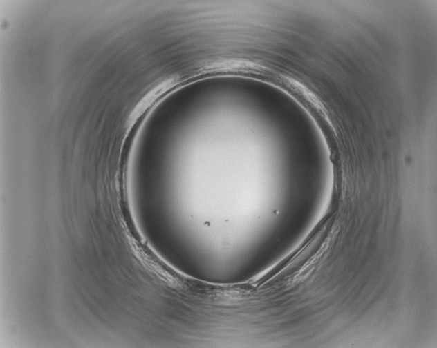 X0000059821330200510241346