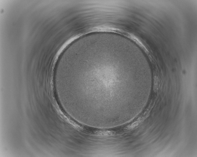 X0000059821331200510241346