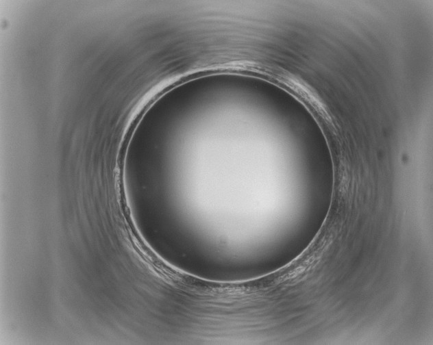 X0000059821332200510241346