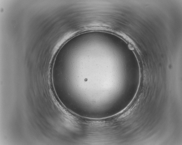 X0000059821333200510241346