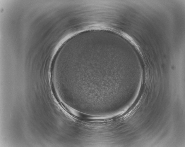 X0000059821334200510241346