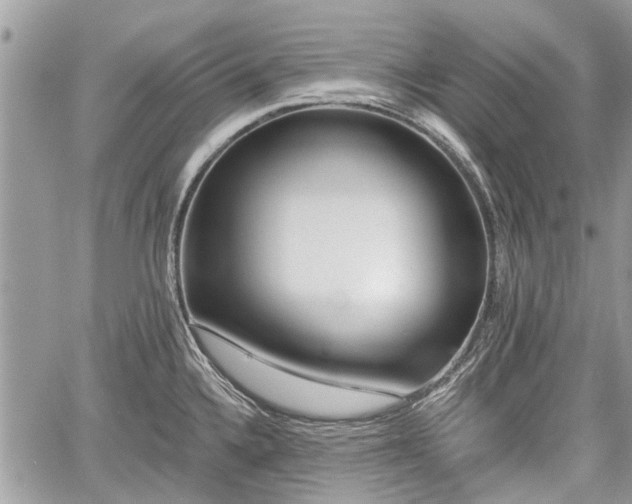 X0000059821336200510241346