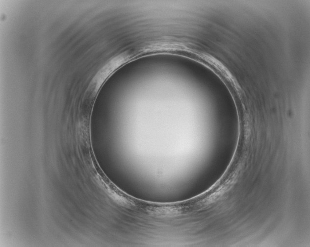 X0000059821337200510241346