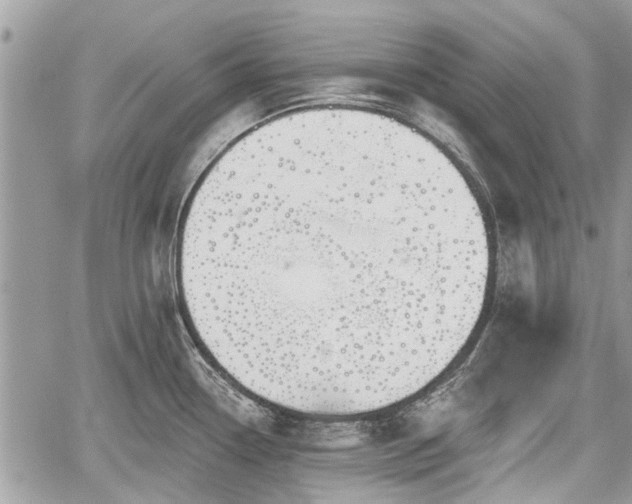 X0000059821338200510241346