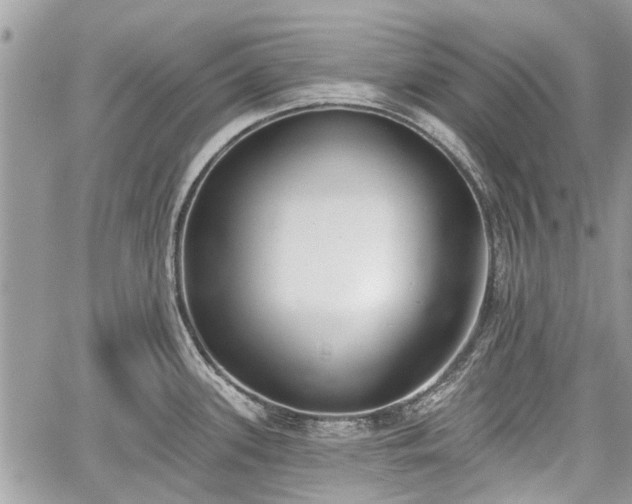 X0000059821339200510241346