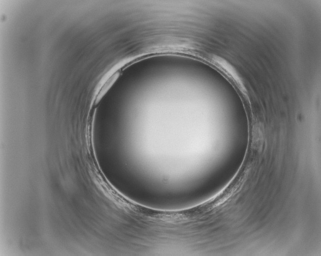 X0000059821340200510241346