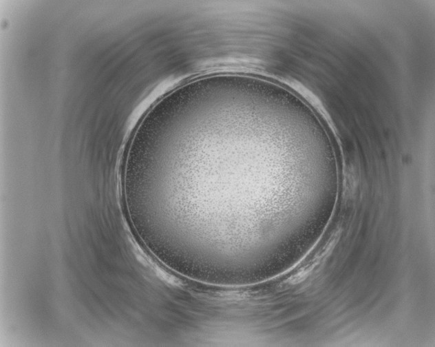 X0000059821341200510241346