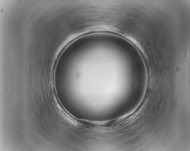 X0000059821342200510241346