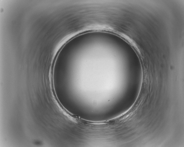 X0000059821343200510241346