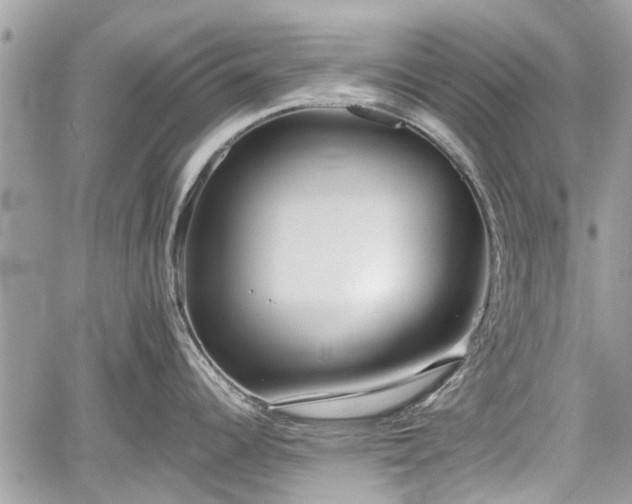 X0000059821344200510241346