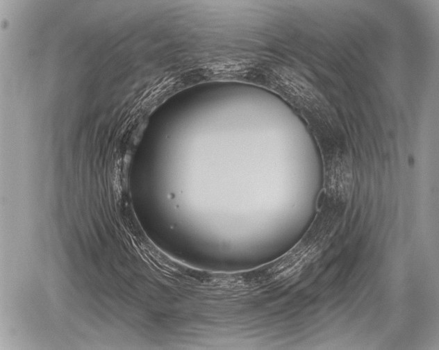 X0000059821346200510241345