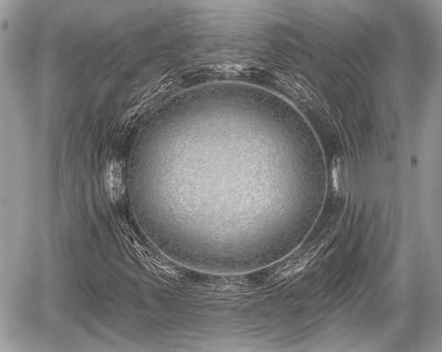 X0000059821347200510241345