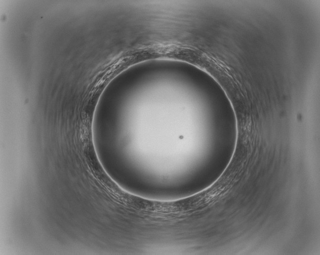 X0000059821349200510241345