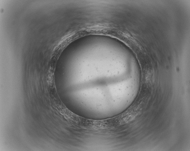 X0000059821350200510241345