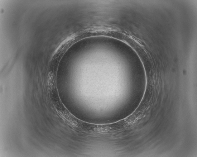 X0000059821351200510241345