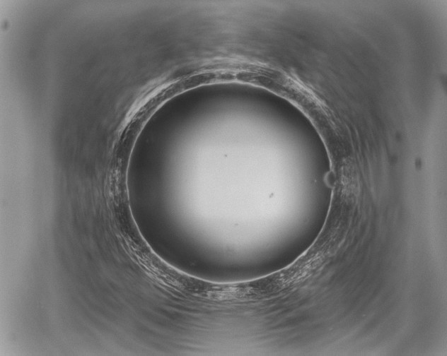 X0000059821352200510241345