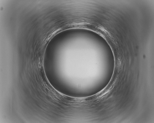 X0000059821353200510241345