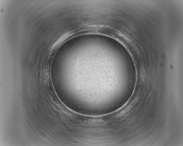 X0000059821354200510241345