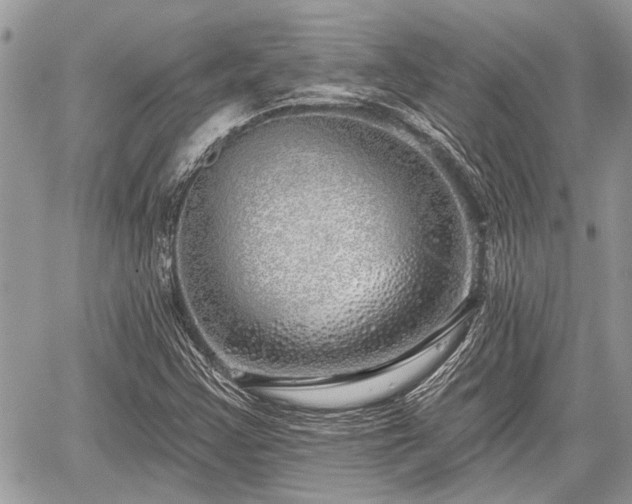 X0000059821355200510241345