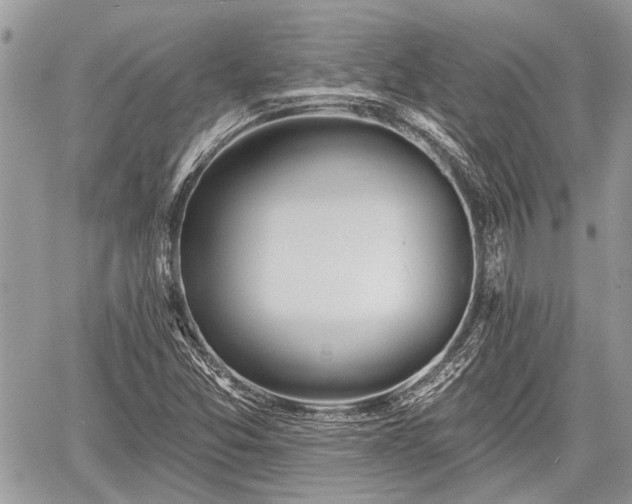 X0000059821357200510241345