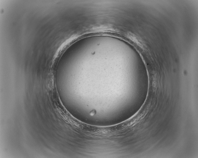 X0000059821358200510241345