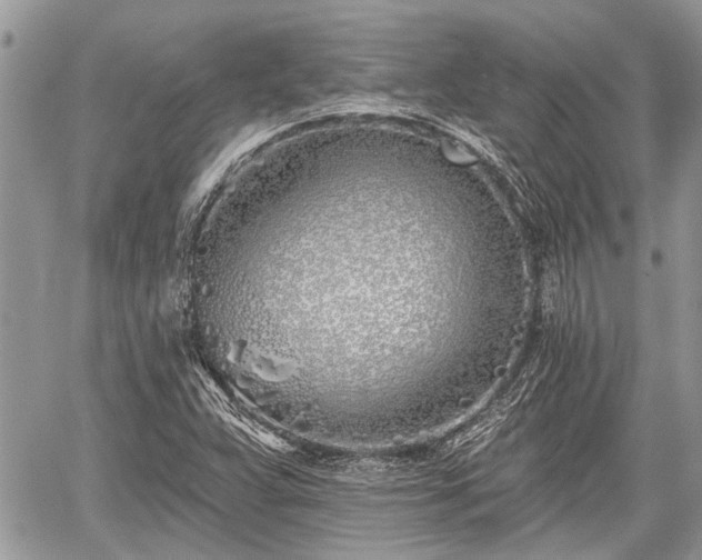 X0000059821359200510241345