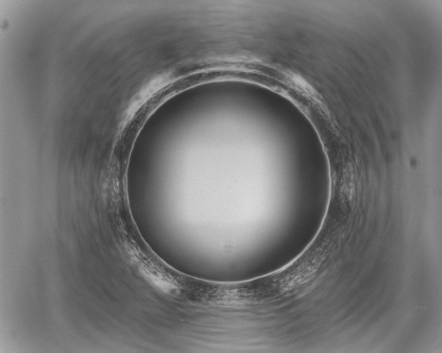 X0000059821360200510241345