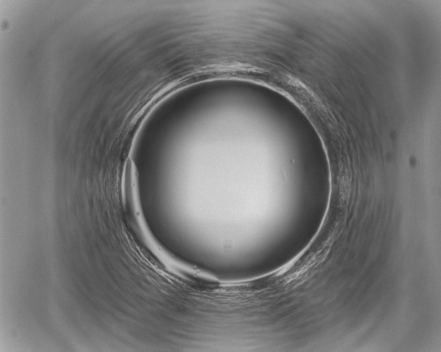 X0000059821361200510241345